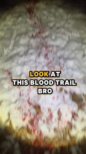 I Think He Found His Deer! #shorts