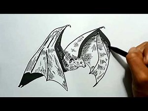 How to Draw Flying Bat in Easy Steps