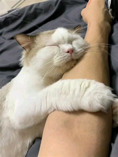 Conqueror Series | Part 1: Epic PUBG Highlights