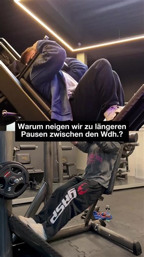 Du baust einfach keine Muskeln auf? Schreib mir „HT“ und ich zeige dir wie simpel es sein kann 📲 Mit Code: HENRY bei @gnlaboratories immer maximal viel Geld sparen 💰