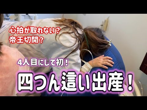 【4人目の出産】はじめての四つん這い出産！！陣痛から出産までのVlog