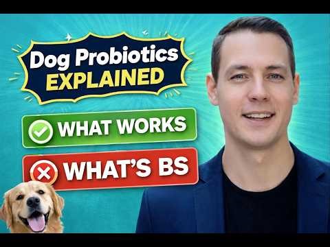 Dog Probiotics Explained — What Works (and What’s BS)