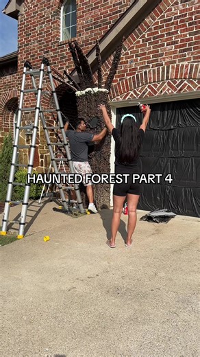 Haunted Forest Part 4: Unveiling the Mystery