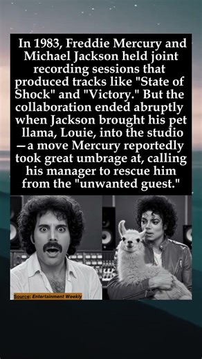 The Llama That Derailed a Dream Duet: Freddie Mercury and Michael Jackson's Unfinished Sessions