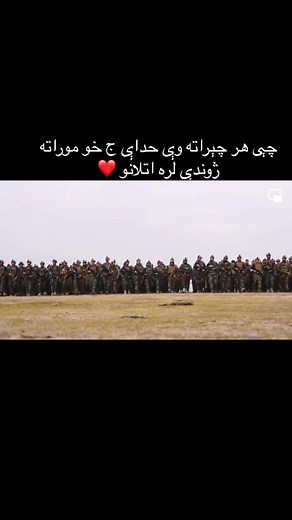 Vidéos de 🦁afg.COMMANDO.🦁 (@afg.commando3) avec original sound - نعمت الله خاکسار🥀☝️