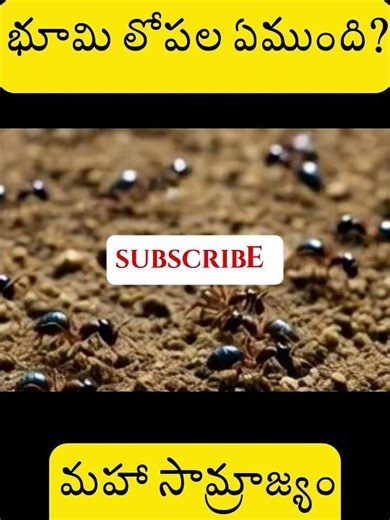 మీకు తెలియని భూమి లోపలి రహస్యాలు! 🤯 #EarthSecrets#HiddenWorld#AntColony #epicray telugu