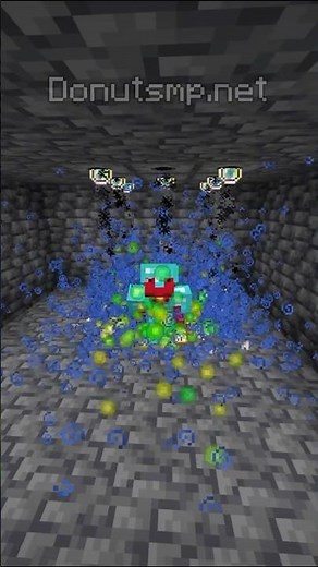 How to make an Auto XPer on the Donut SMP!