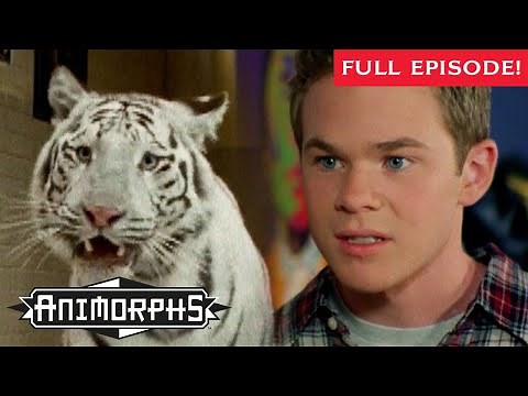 The Release | Teens Transform into Animals | Animorphs | Scholastic Classic