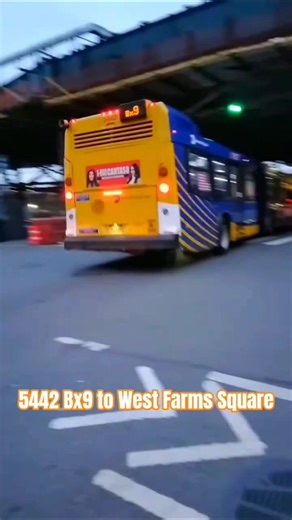 #MTA NYC BUS: 5442 Bx9 @ Boston Rd & 179th St #nycbus #youtubeshorts #thebronx #music #fall