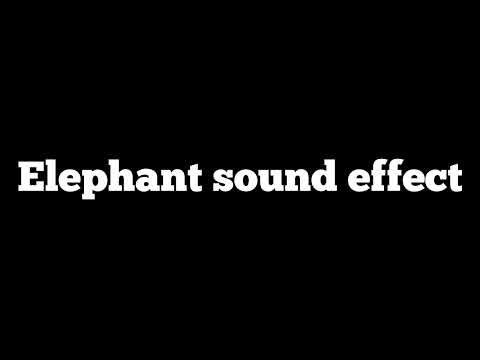 Elephant Sound effect