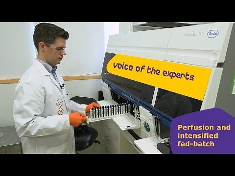 Perfusion and Intensified Fed-Batch