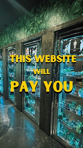 This website will pay you 💵👀 To open emails!📩🤯 and automate the process to make passive income!👌 🔗 in my bio to start #affiliate #marketing2023# moneygoals2023 #travelmore #freedom #workandtravel #travelandwork #onlineincome #beyourownboss #onlinebusiness #makingmoney #workhard #consistency #like #love #money #makingmoneyonline #remotework #sidehustle #sidehustle2023 #workfromhome #remoteworking #digitalnomad #entrepreneur | Lloyd Kristoffers