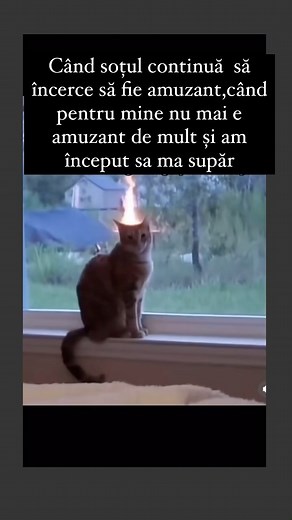 Mamica De Serviciu on Instagram: "Cine doarme pe preș? Și răbdarea de mamica se termină curând... Cu patru copii mici, viața mea este un amestec de haos și bucurie. Suntem un cuplu fericit, dar viața de familie este mereu plină de provocări și neprevăzut. Dar, cu multă iubire și răbdare, fac tot posibilul să fac lucrurile să funcționeze pentru noi doi și pentru cei mici. #mamicadeserviciu #cuplu #mamici Uneori simt că sunt o mamica deserviciu, mereu ocupată cu treburile casnice și cu atenția con