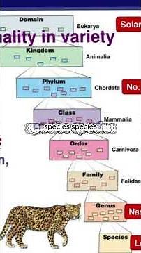 Unlock the Secrets of Biology Taxonomy with Fun Mnemonics!