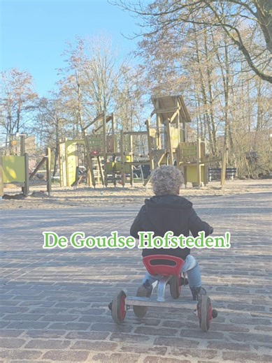 Bezoek De Goudse Hofsteden: Gratis Kinderboerderij met Speeltuin