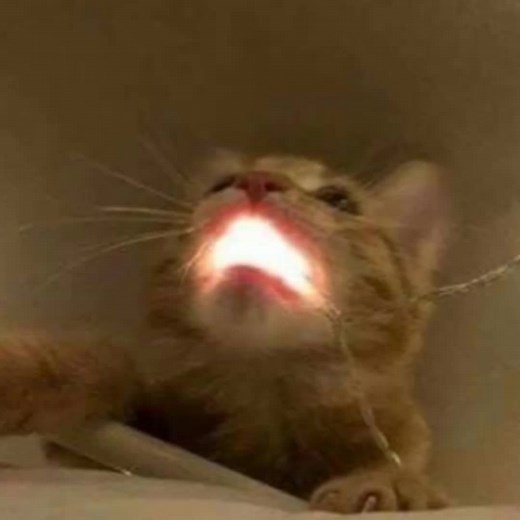 Riendose Sans Skeleton Meme | Undertale Gacha Club