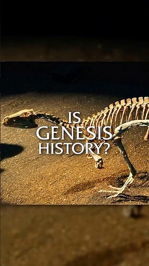 What Did the Pre-Flood World Actually Look Like?