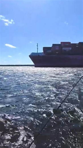 Short clip of some fun on the River! Capt. Chad, Capt. Gavin, and Capt. Tyson | Jacksonville Fishing Charters - Team Buck Rogers Charters