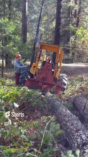 Yarding and skidding logs with my Farmi 501 tractor winch. Douglas fir logs for Woodmizer LT15 sawmill. #farmi #tractorwinch #tractor #logging #skidding #woodmizer