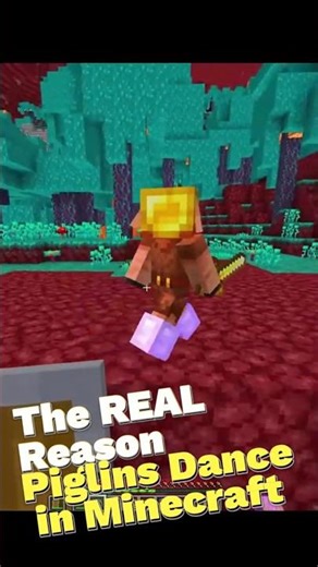 Minecraft Piglin Secrets You Never Knew!