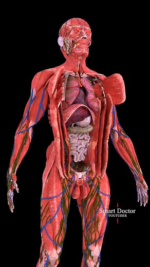 112K views · 874 reactions | Découvrez les secrets de votre corps |...