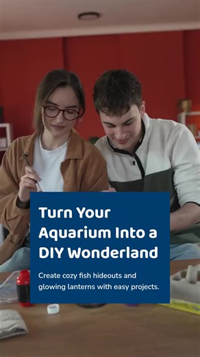 Looking to jazz up your aquarium decor? Try these fun and easy DIY ideas at home: 1. Create colorful pebble mosaics for a splash of personality. 2. Use natural driftwood to build cozy fish hideouts. 3. Make floating plant islands for a lush look. 4. Craft mini castles or shipwrecks with non-toxic clay. 5. Recycle glass jars into glowing underwater lanterns with waterproof LED lights. These simple projects not only brighten your tank but also provide enrichment for your aquatic friends. Ready to 