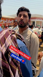 8.1K views · 236 reactions | Multan Cattle Mandi | Universal Topic | Facebook