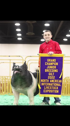 Next Level Images on TikTok