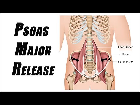 Excellent SELF Manual Release Technique for PSOAS MAJOR | Relieve Hip Flexor Tightness
