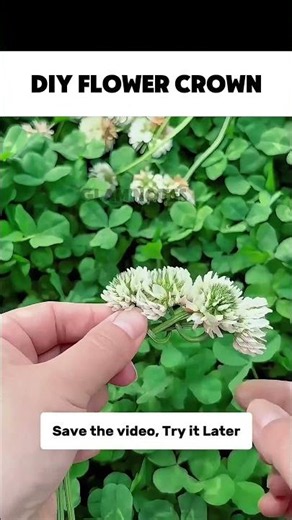 How to Make a Flower Crown 🌸 Easy DIY Nature Craft #flowercrown #diycraft #flowerheadband