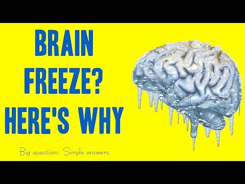 Why Do We Get Brain Freezes (Explained)