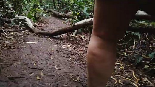 Kauai Hawaii: 15 Gründe warum die Garteninsel ein Highlight deines Hawaii Urlaubs ist Reiseblog VIEL UNTERWEGS