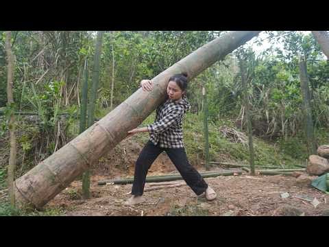 FULL VIDEO: 300 Days 17-Year-Old Girl Builds a Bamboo House Alone - START TO FINISH - TIMELAPSE