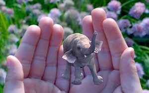 Magic Leap : 这家好莱坞和硅谷同时投资的公司到底有多酷？