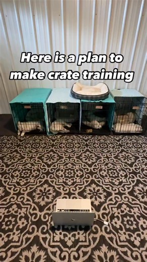 81K views · 525 reactions | ✅ Daytime crate training doesn’t “just...