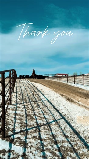 Gratitude for Community Support in Our Year-Long Journey