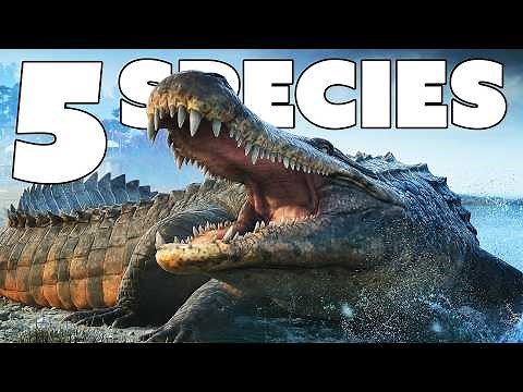 🔲 DEINOSUCHUS, Postosuchus & More! NEW Species DLC For Jurassic World Evolution 3