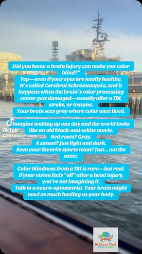 “Did you know a brain injury can make you color blind?” Yep—even if your eyes are totally healthy. It’s called Cerebral Achromatopsia, and it happens when the brain’s color processing center gets damaged—usually after a TBI, stroke, or trauma. Your brain sees gray where color once lived. Imagine waking up one day and the world looks like an old black-and-white movie. Red roses? Gray. A sunset? Just light and dark. Even your favorite sports team? Just… not the same. Color blindness from a TBI is 