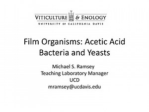 Film Organisms: Acetic Acid Bacteria and Yeasts - SlideServe