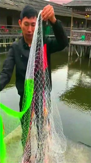 fishing net throwing video #fishing #net #fishinglife