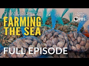 Farming the Sea - Full Episode