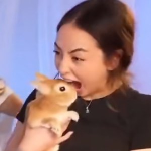 sakurashymko - Twitch