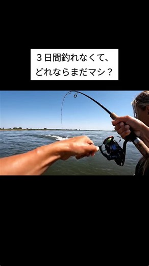 ReeXJapan | みんなは3日間何も釣れなかった後、これが釣れたらどれが一番マシだったと思う？コメントで教えてね！🎣 3日間釣果ゼロ…そんな僕を癒してくれるのは、まさかの巨大魚？それとも予想外の獲物！？ 小さな魚からタイヤ、そして大きなコイまで…みんなならどれを選ぶ？この動画はAI生成だよ！... | Instagram