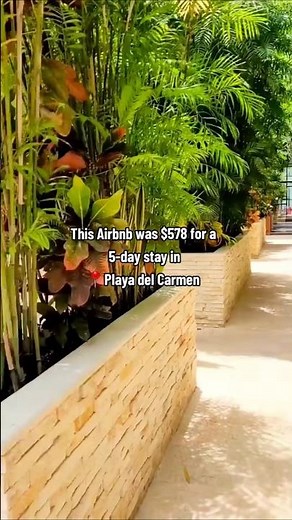 Where to Stay in Playa del Carmen | Great Airbnb