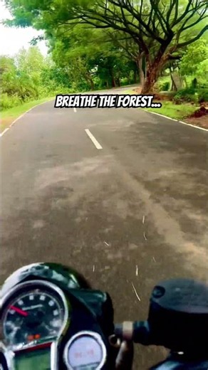 Royal Enfield Bullet 350 Classic | Epic Green Forest Ride ☘️ | Cinematic Bike Journey 🎥 🏍️