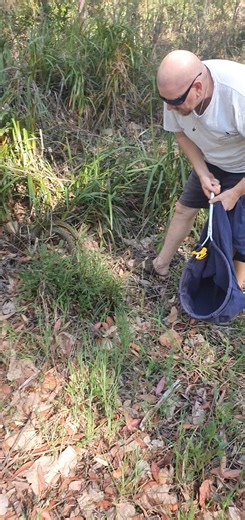 12K views · 56 reactions | Diamond python release | Central Coast Snake Catchers | Facebook