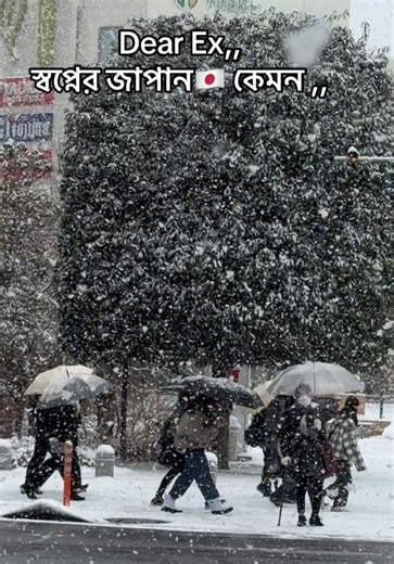 তুমি বলেছিলে snowflake ❄️ এ হাতে হাত রেখে হাঁটতে চাও,, তাই তো তোমার স্বপ্ন পূরণের জন‍্য,, আমি বেশি effort দিয়েছিলাম.. ধৈর্য্যহীন লোভী মেয়ে.. রাত শেষ হলে আধার কেটা যায় ওইটা যানতে না…আজ দেখো আমি.. Japan #japan🇯🇵 #snow #japanipola1 #fyp #sadcaption