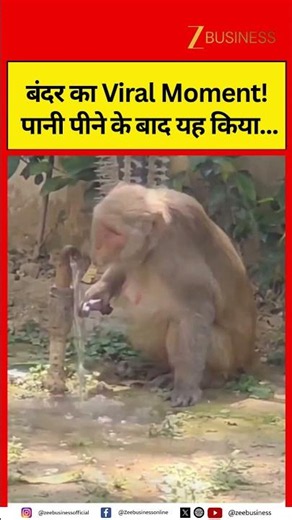 Monkey’s Viral Moment! What It Did After Drinking Water Amazed Everyone