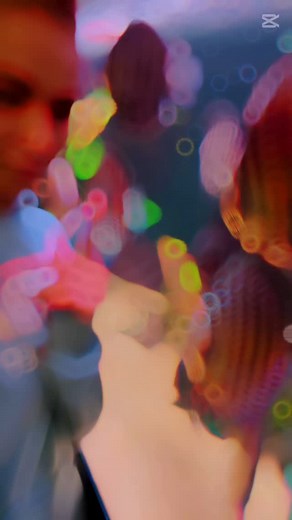 🩵🩵🩵 ~~~~~~~~~~~~~~~~~~~~~~~~~~~~~~~~~~~~~~ 🧝‍♀️ #discus #discusfish #diecustank #cichlid #cichlids #pets #pet #aquatics #aquarium #aquariumfish #aquascaping #animal #animals #aquatic #aquariumhobby #discusaquarium #aquascape #aquarium #aquascaping #acquariofilia #ladydiscus #aquaria #アクアリウム #熱帯魚 #natureaquarium #aquariumdesign #アクアデザインアマノ #ネイチャーアクアリウム #アクアリウムb #aquariumsofinstagram #mytank #discuscares | Lady Discus