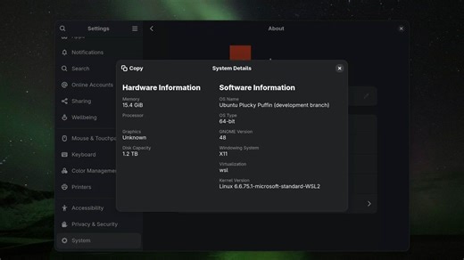 Ubuntu 25.04 最终候选版初体验